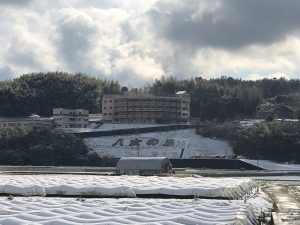毎日寒い日が続いています